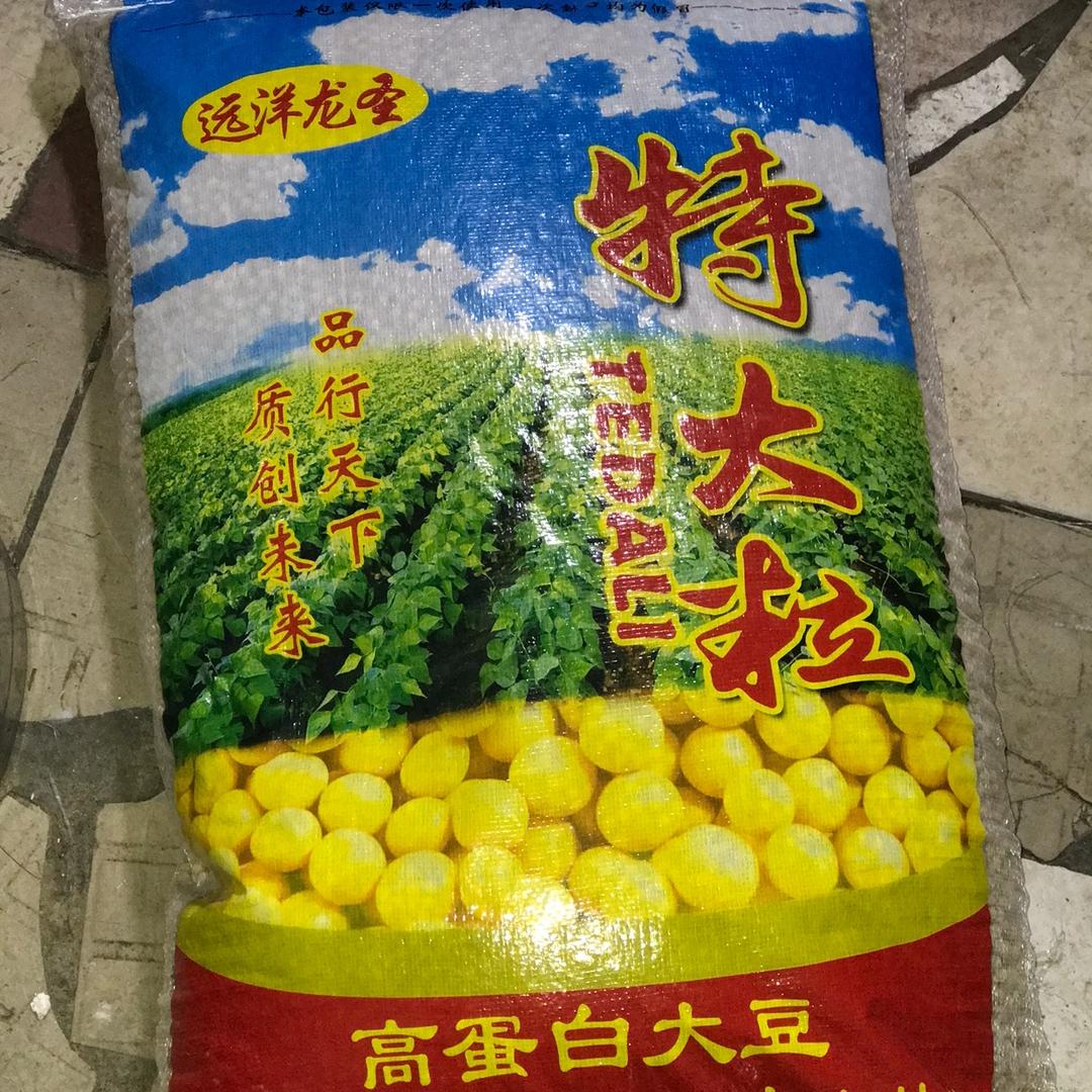 流浪兔