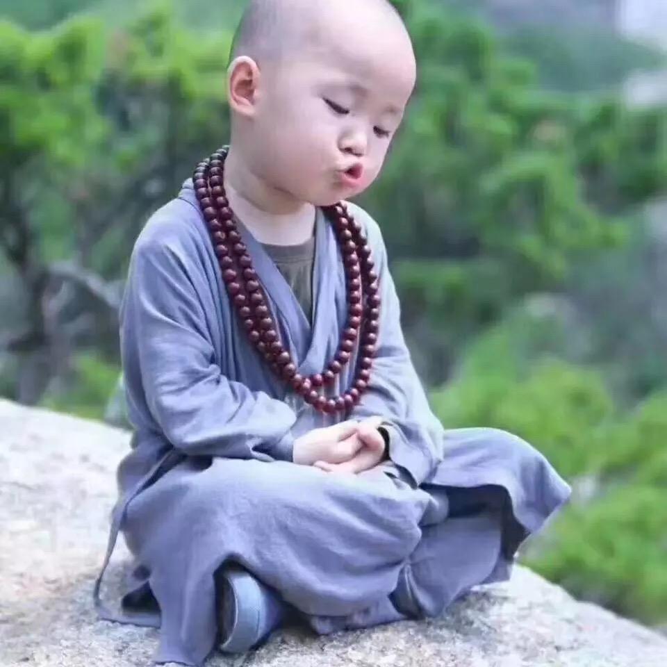 静悟