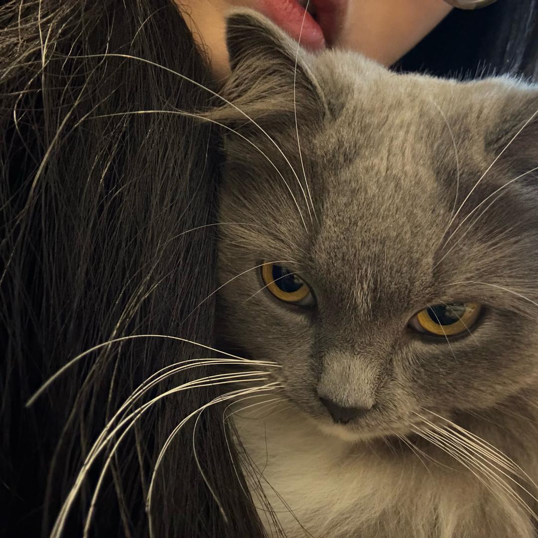 今天没喝岩浆(见过十勤版）