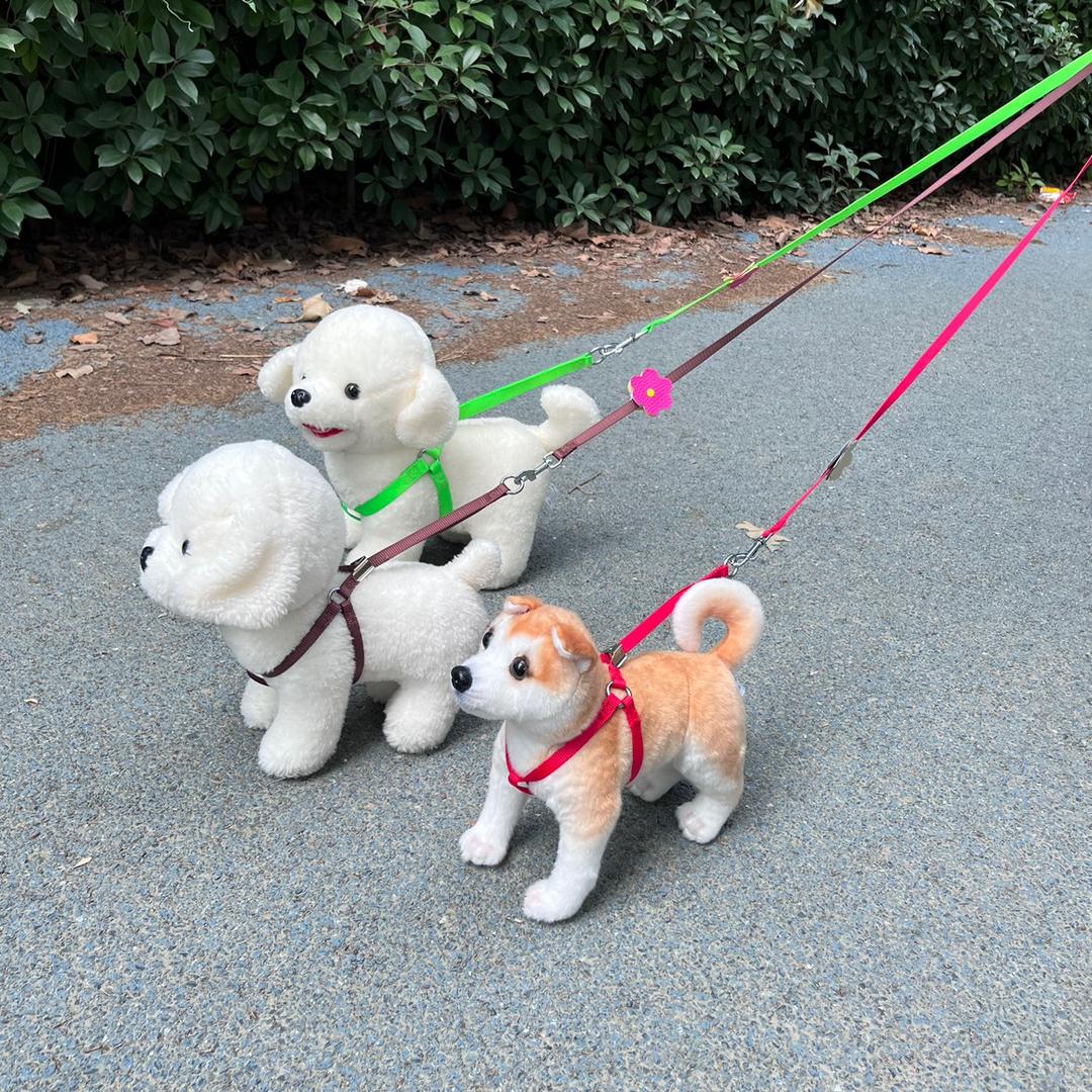 花满蹊宠物用品