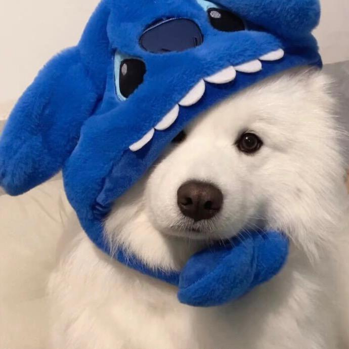 林淼淼