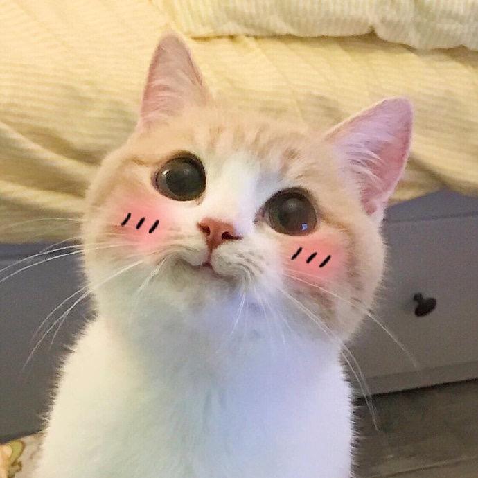 华少
