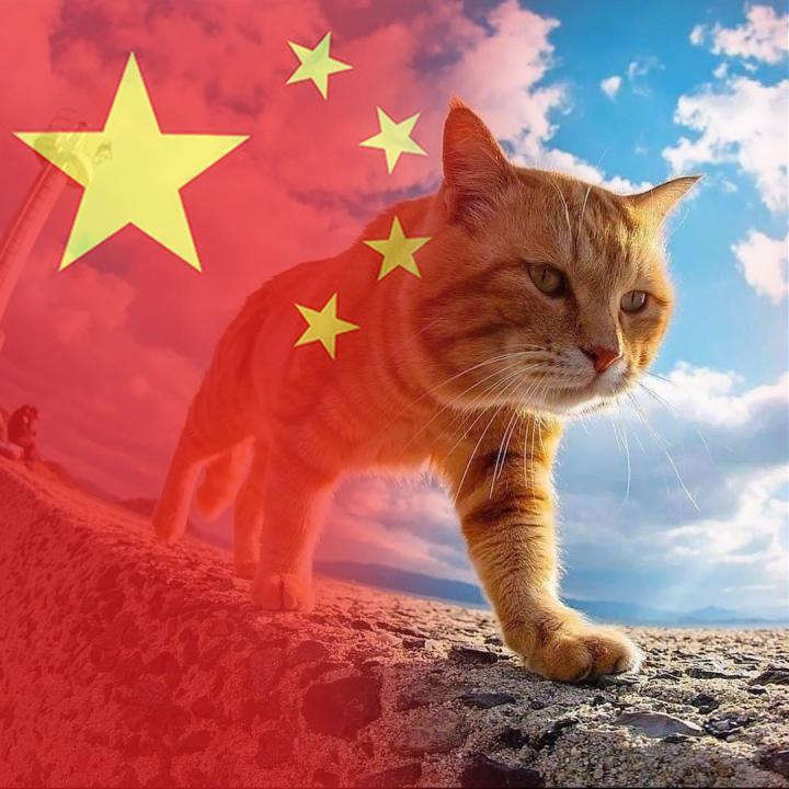 博源牧业