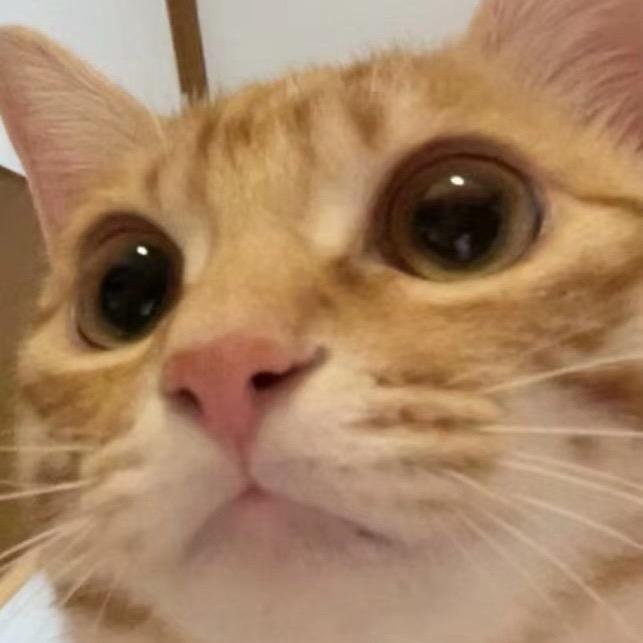 颗秒