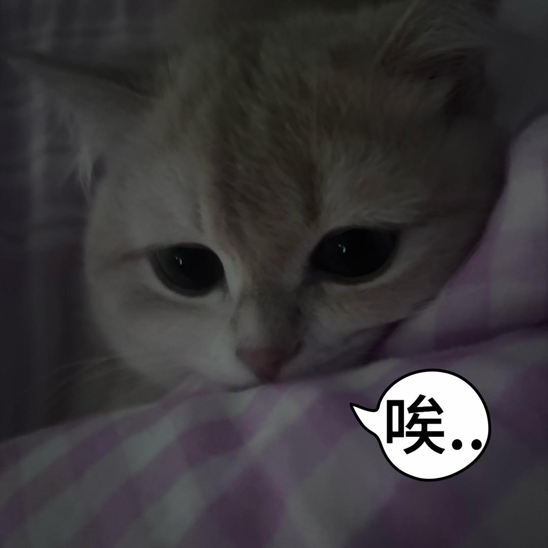 小灵通