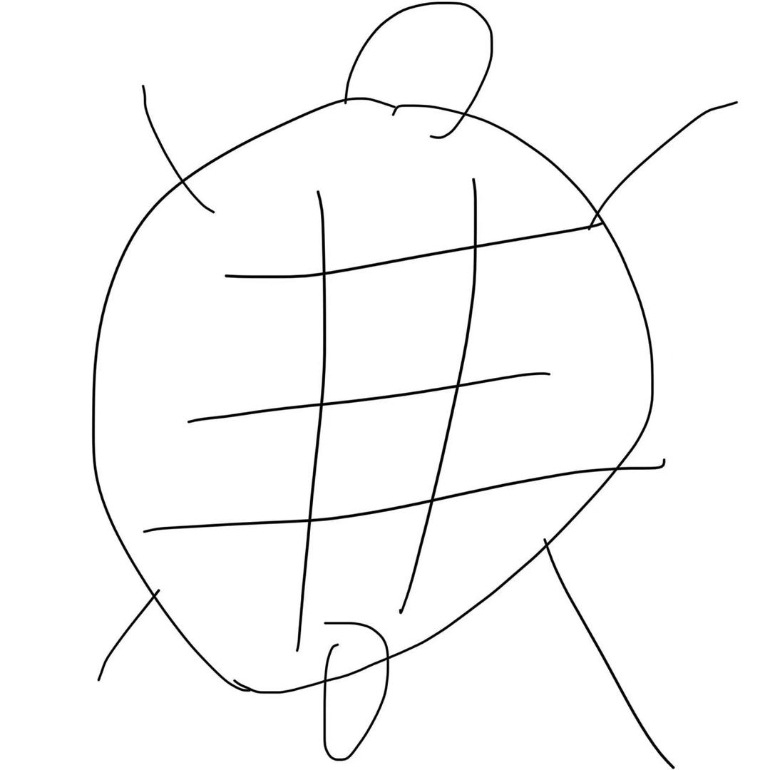 杨记老甲鱼宝藏号