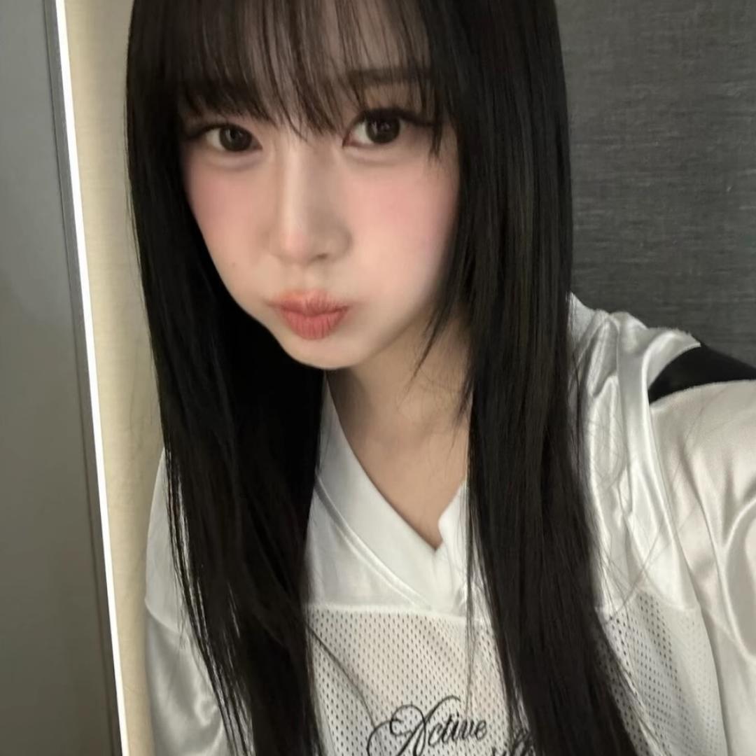 芝鑫仙贝