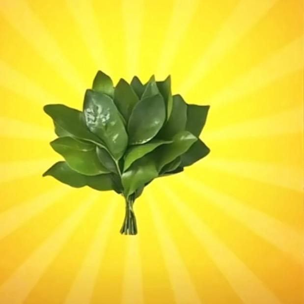 快ᨶ႒ᩚ乐ᥫᩣ໌້ᮨ随心