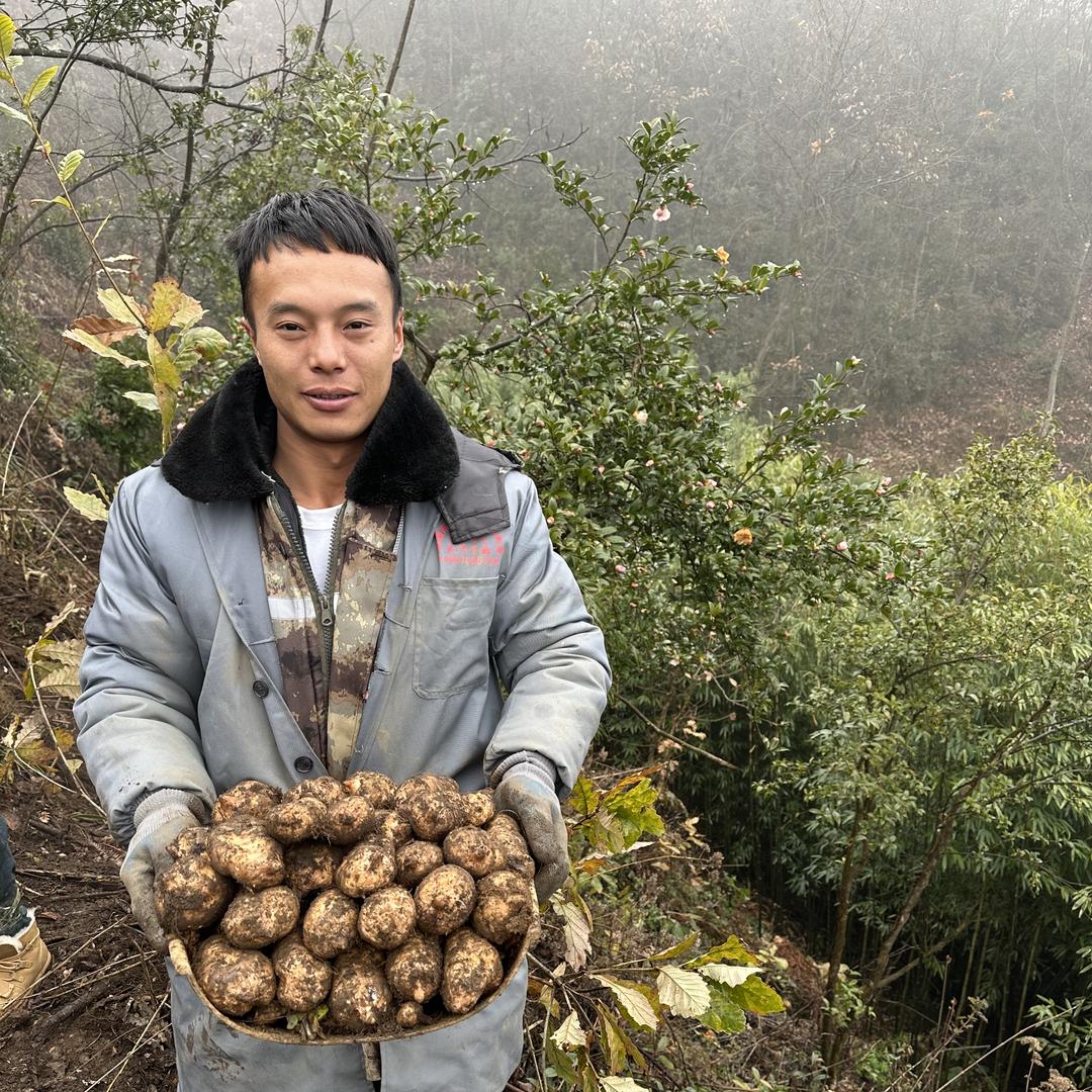 黑哥山里农产品
