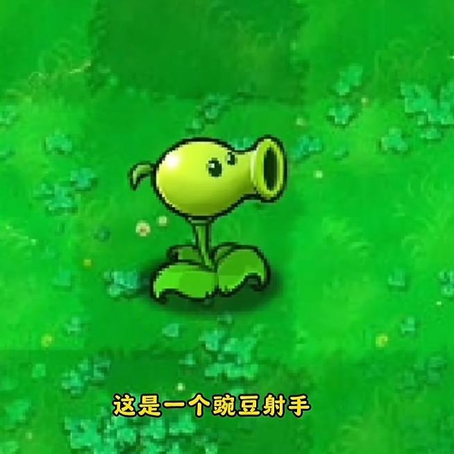 豌豆射手果果