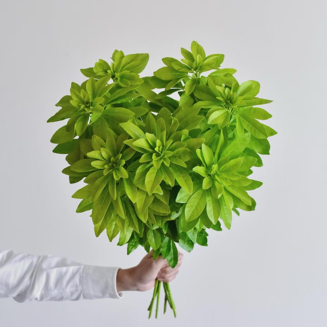 营口鲜花批发