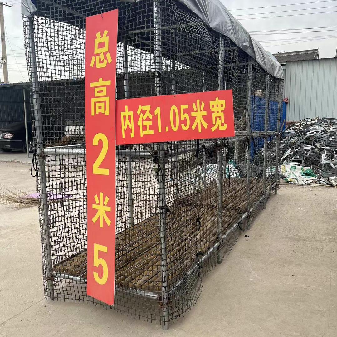 焦作新型玉米架