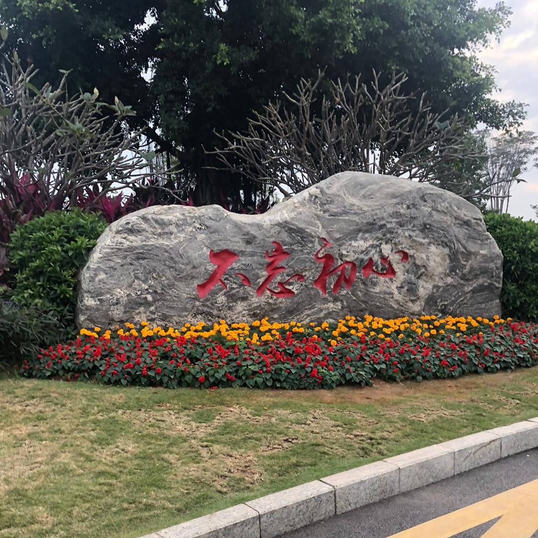 炫舞…