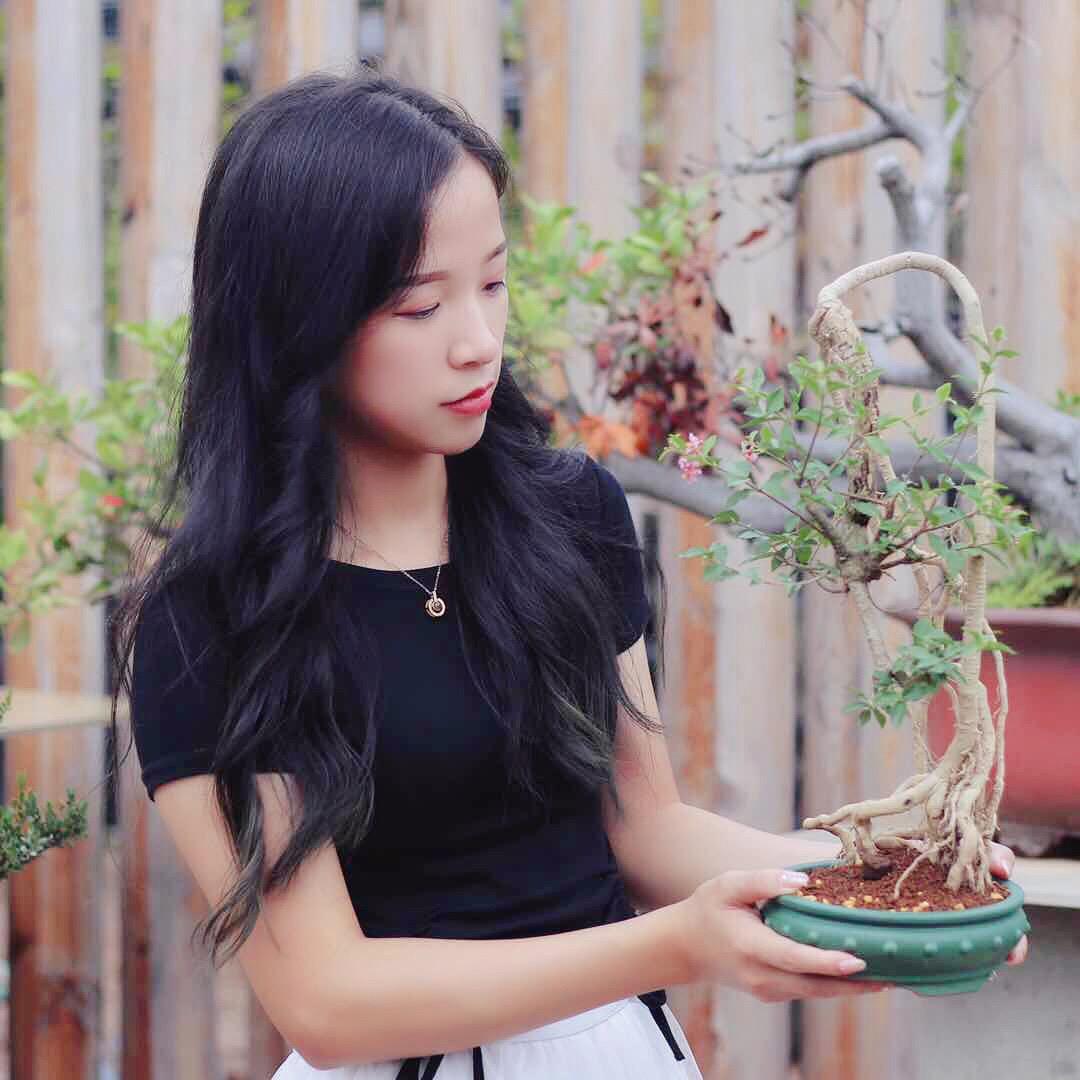 晓瑜盆景园