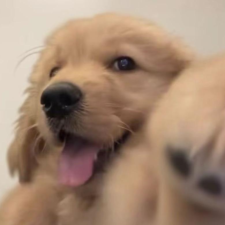 📿⁰̷̴͈ᴥ⁰̷̴͈📿