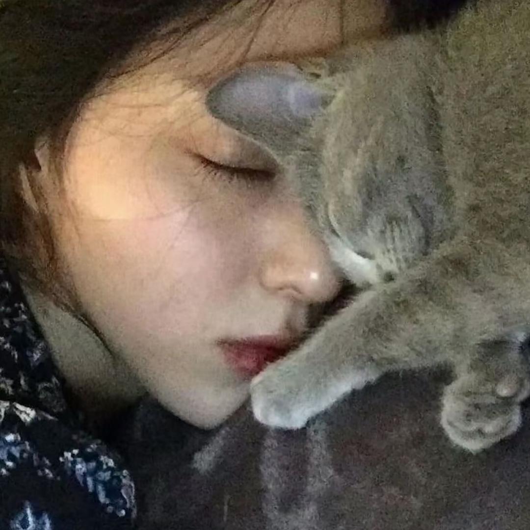 巳蛇_