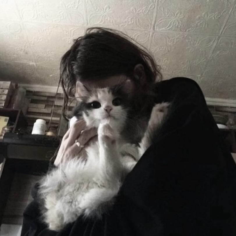 你厉害你干不过我