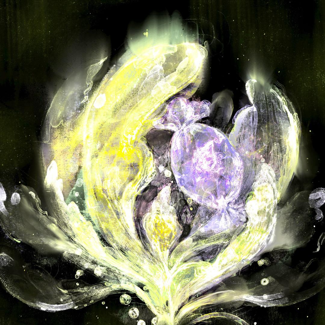 塔芷
