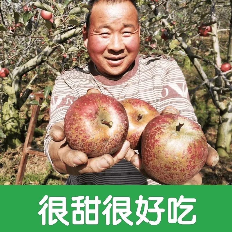 爸爸家的果园