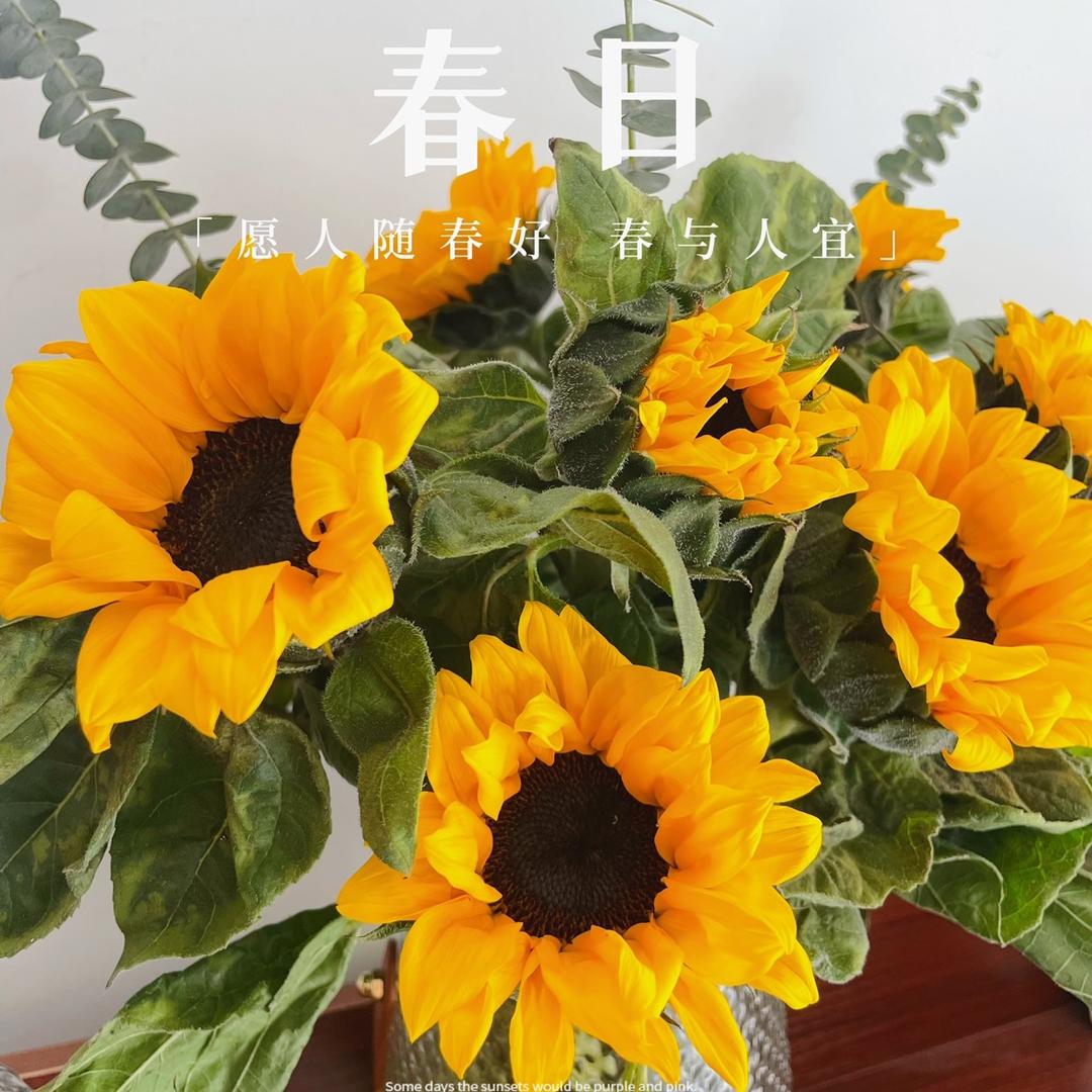 阿潘呀