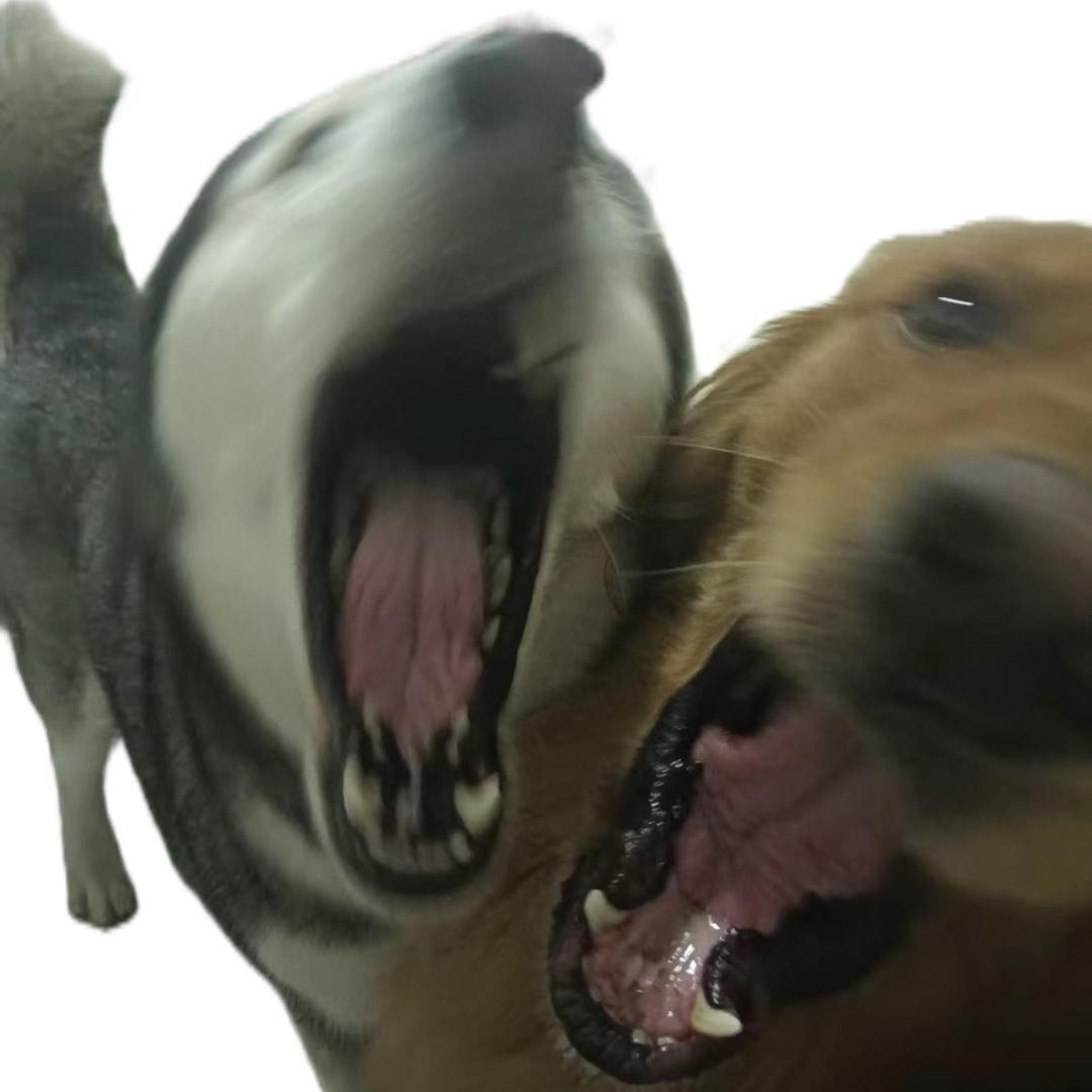 金哈