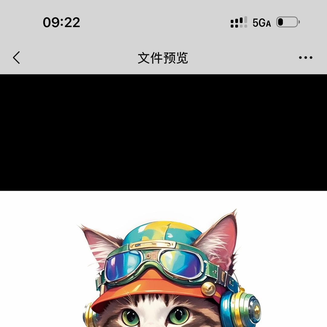 雅雅柒宠   为猫咪而生