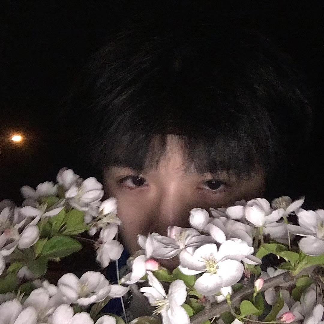 是柏不是柏🌲