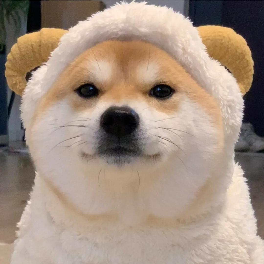罐头鉴定师