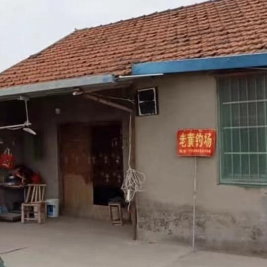 六工段老黄河道钓场