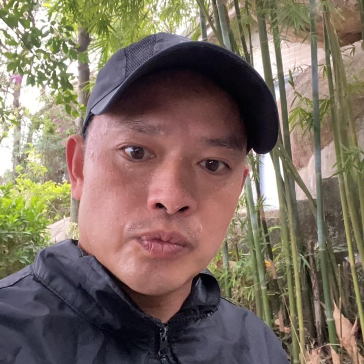 鸿泰格斗