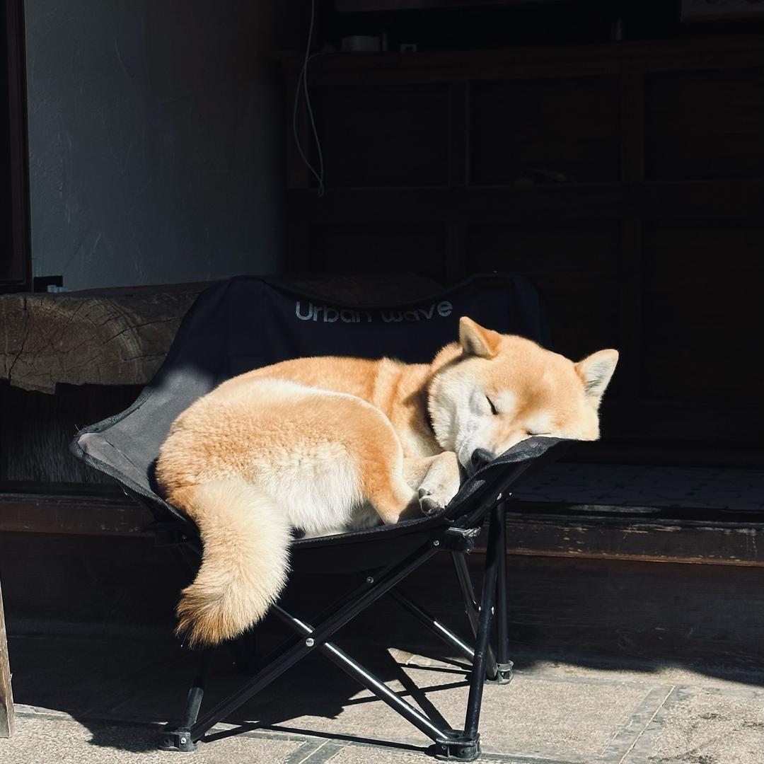 吃不胖的涵涵