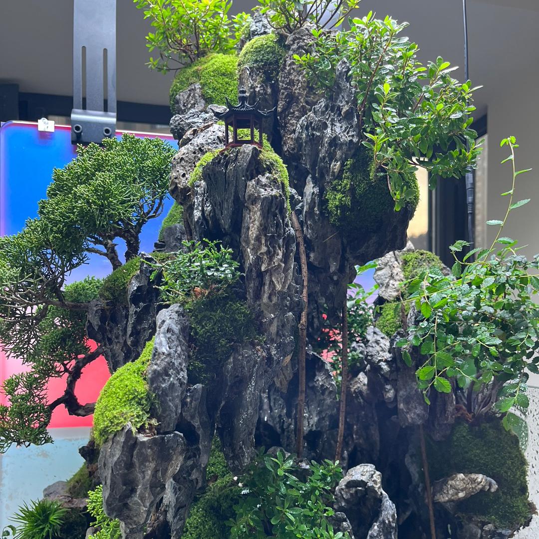 不器