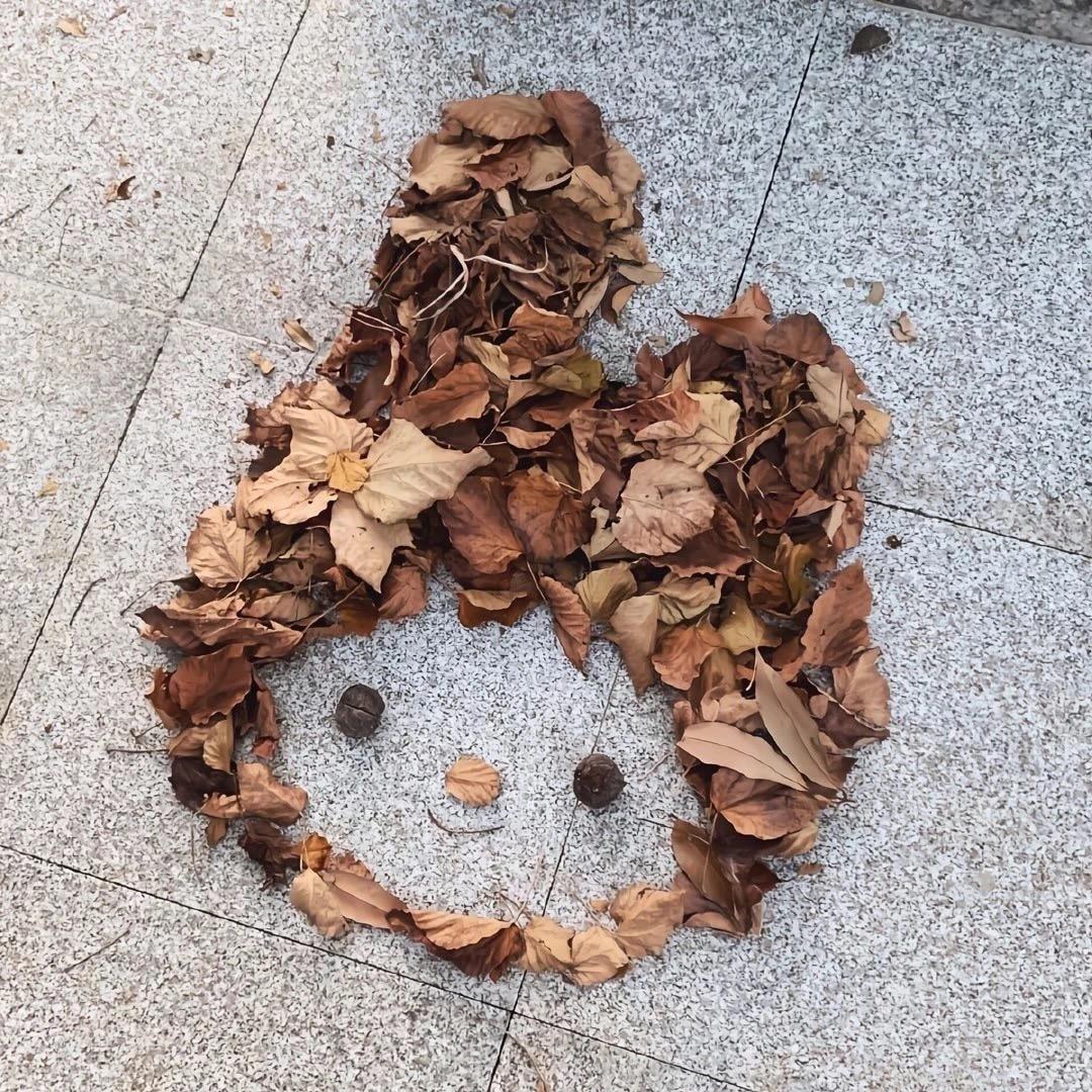 🌻佳佳哈
