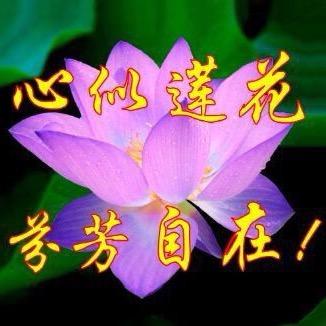 如芳头像