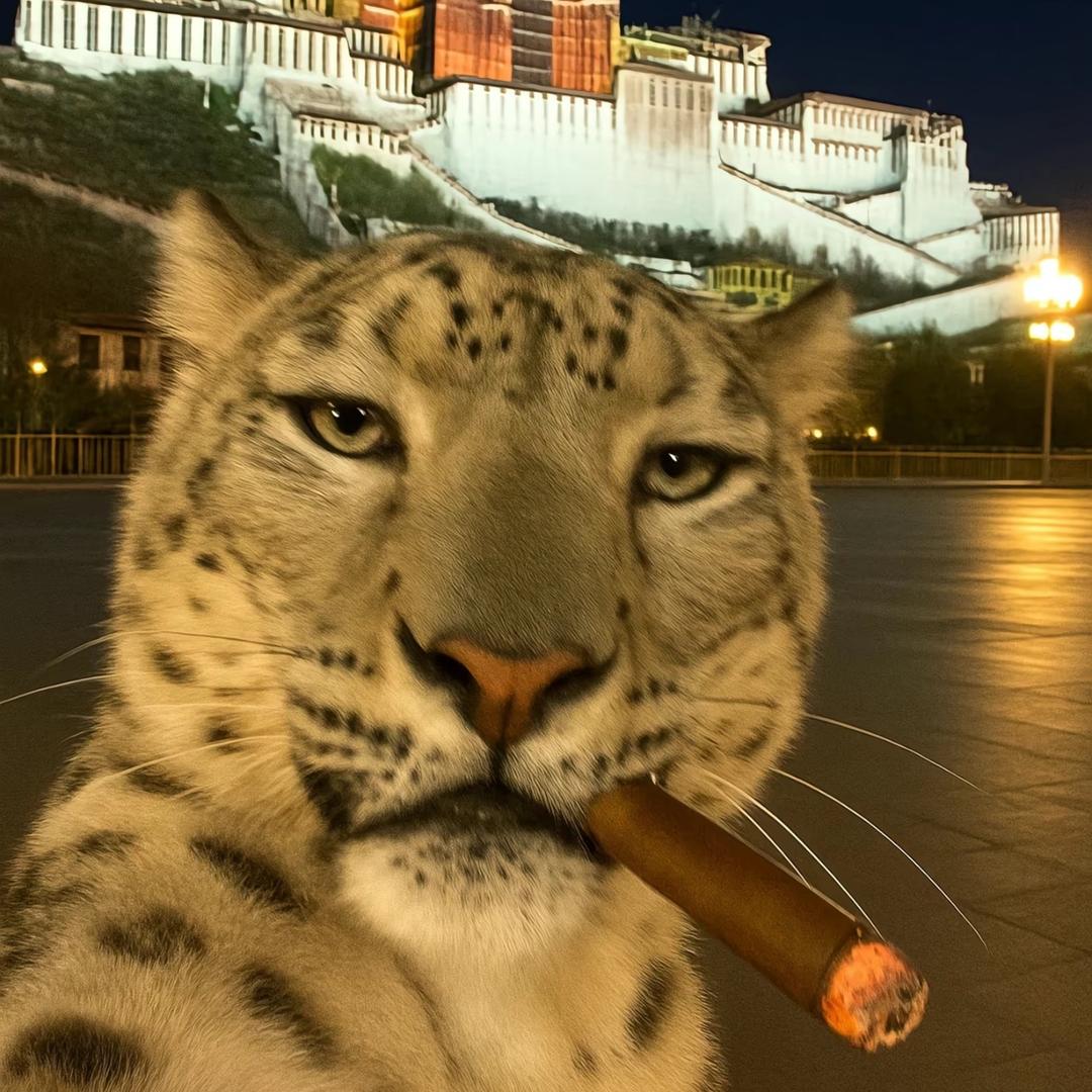 我嘞个登