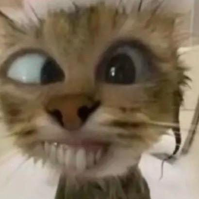 你说你家三姑爹