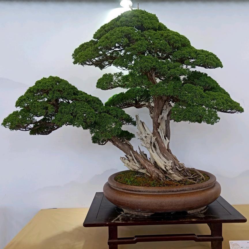 锦程园艺