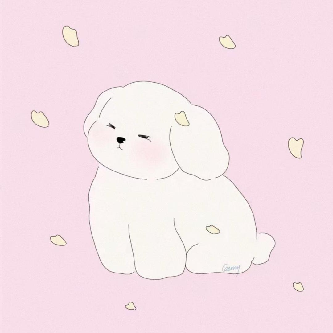 一颗6