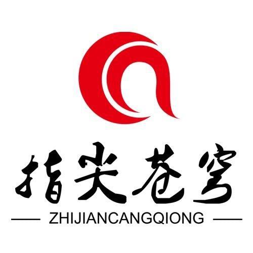 指尖苍穹（向龙）