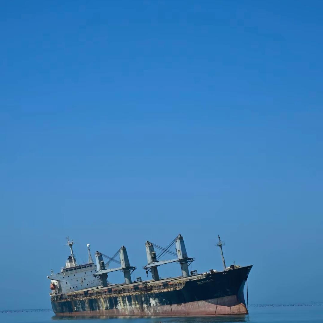 素称