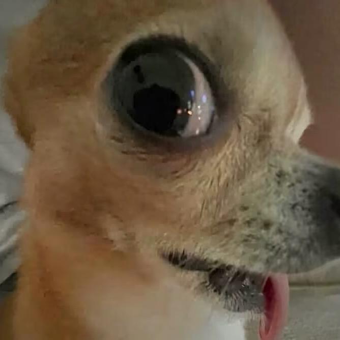 三婚才懂爱