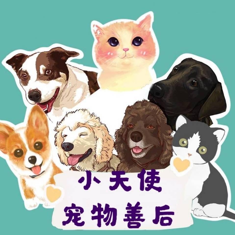 锦州小天使宠物殡葬服务中心