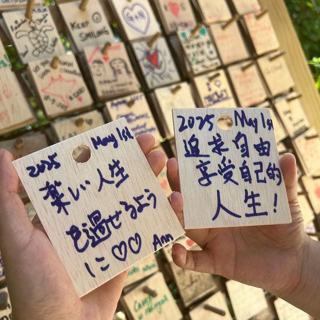 记录生活的油菜花花花