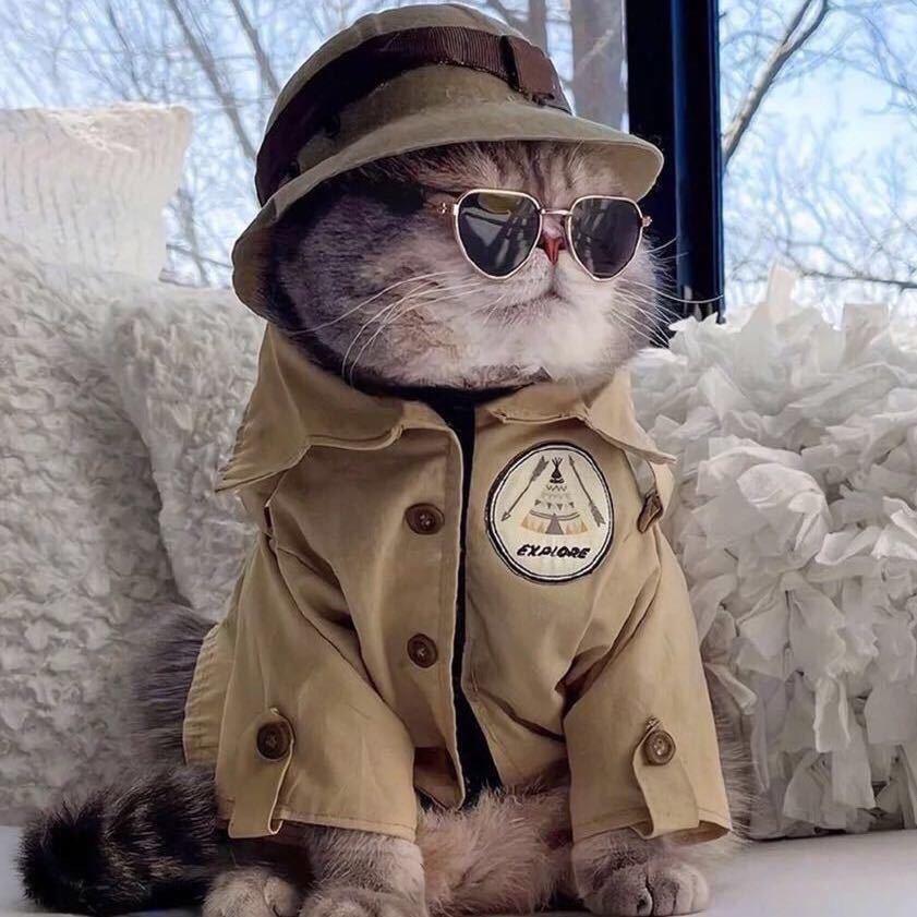 Yi皇 （国一艾克）