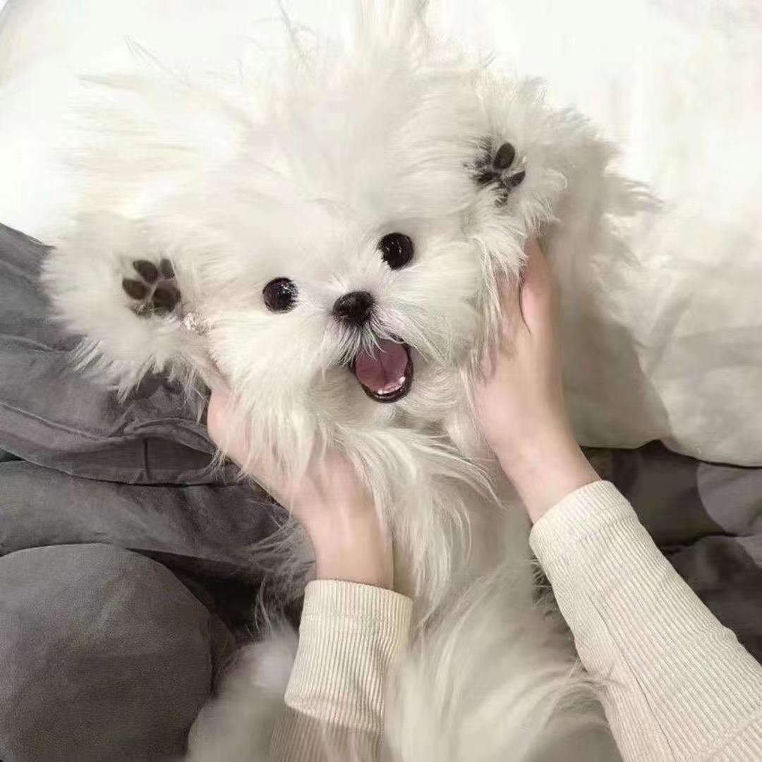 甜-