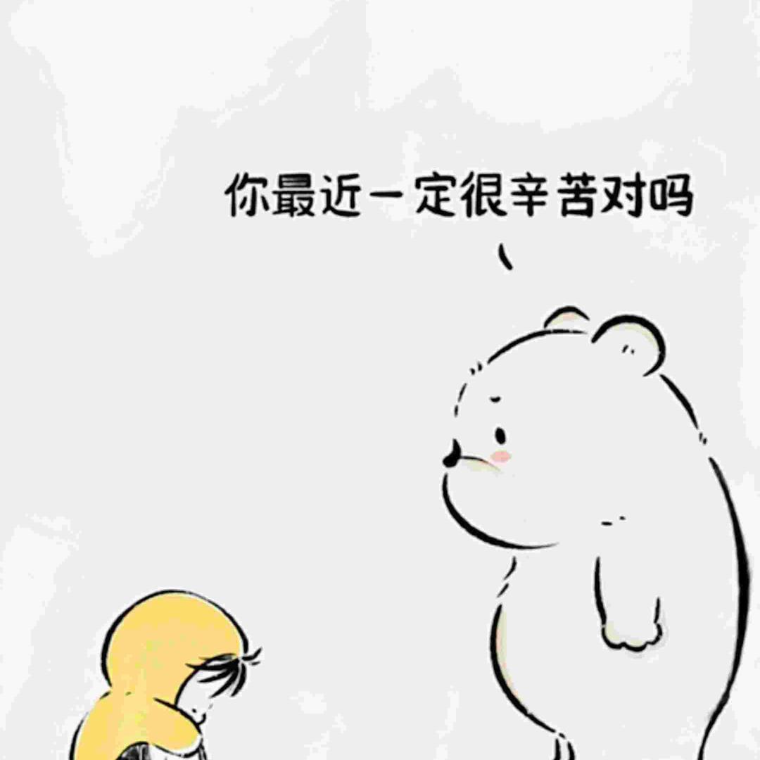 豆豆🐯