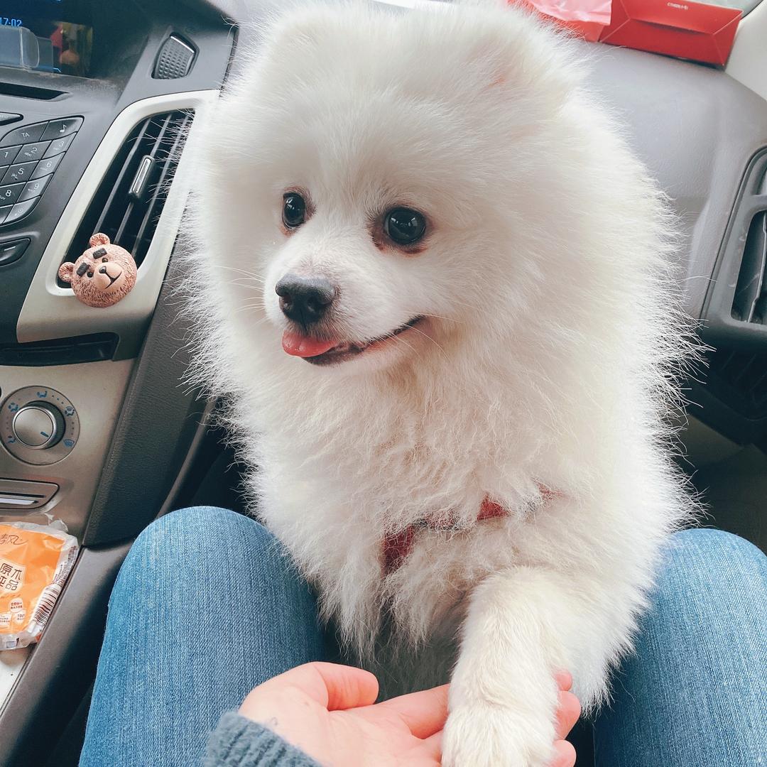 姗姗家百货商行