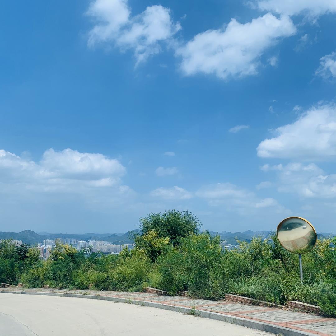 小金鱼吐泡泡