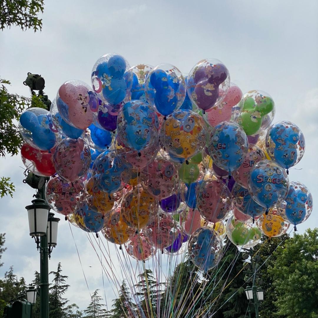 🎵 狮子座♌️