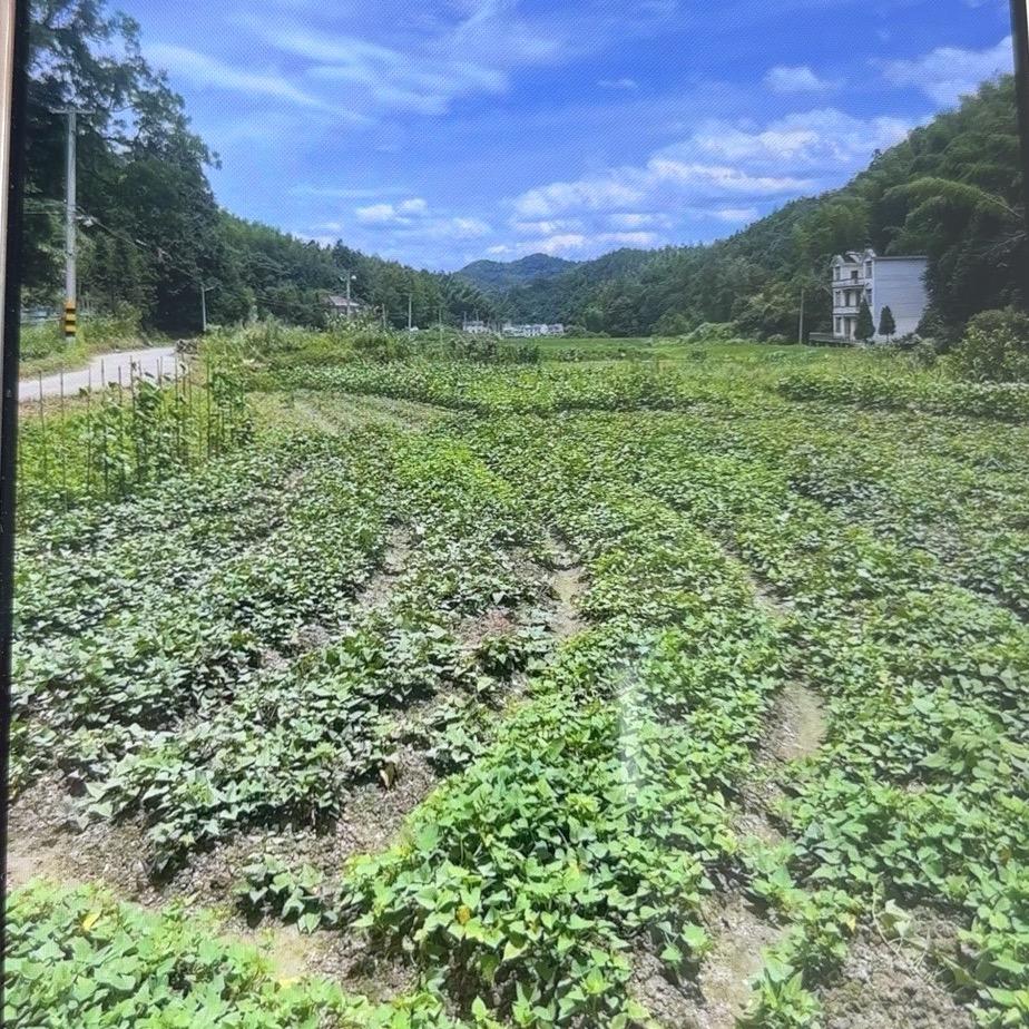 努力奋斗6